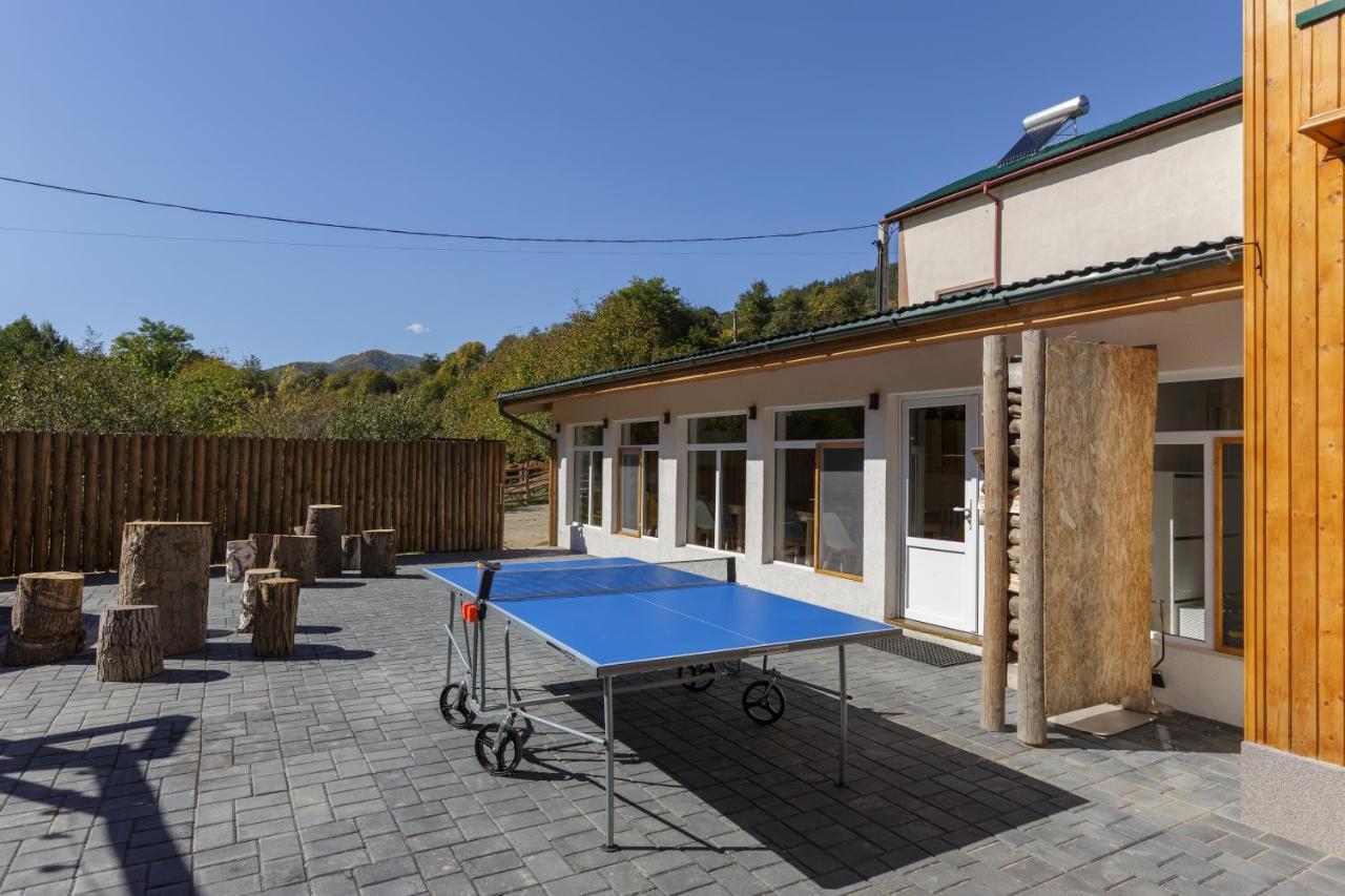 Buturuga Mica Villa Nehoiu Bagian luar foto